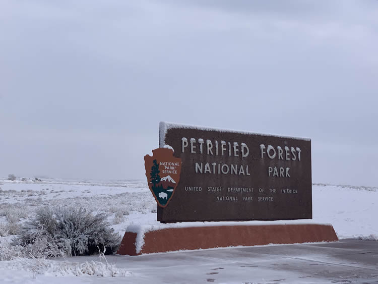 Petrified Forest National Park